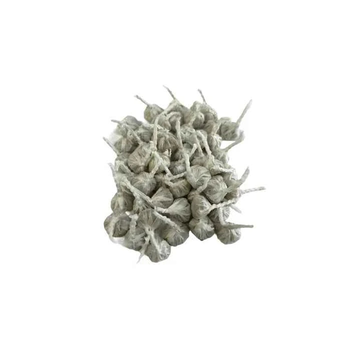 Fun Snaps - for fun outdoors