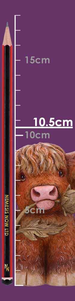 Highland Thistle 10.5cm