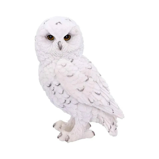 Snowy Watch Owl Figurine 13.3cm - Nemesis Now White Resin - Home Decor