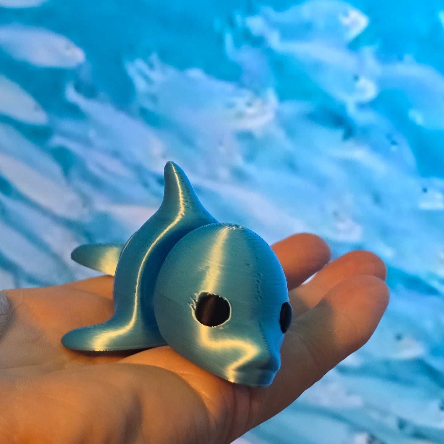 Friendly Little Dolphin hand size fidget toy