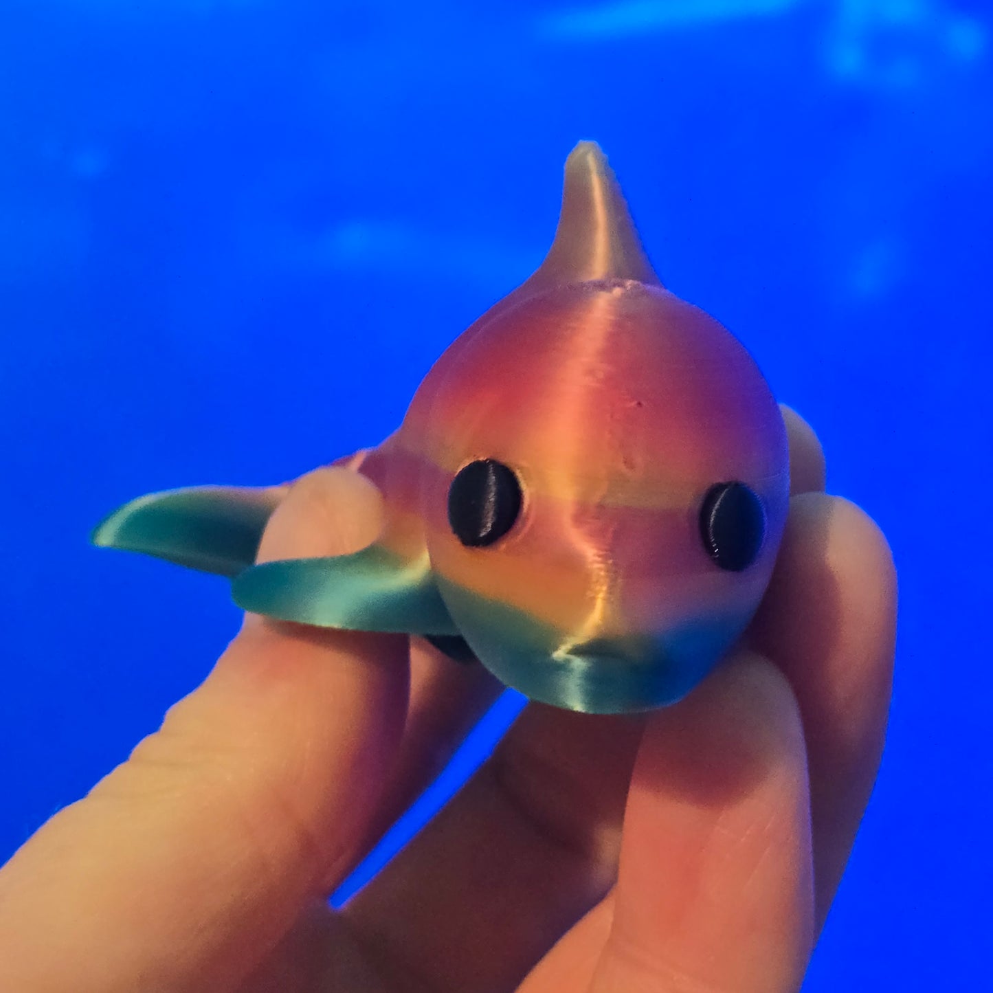 Friendly Little Dolphin hand size fidget toy