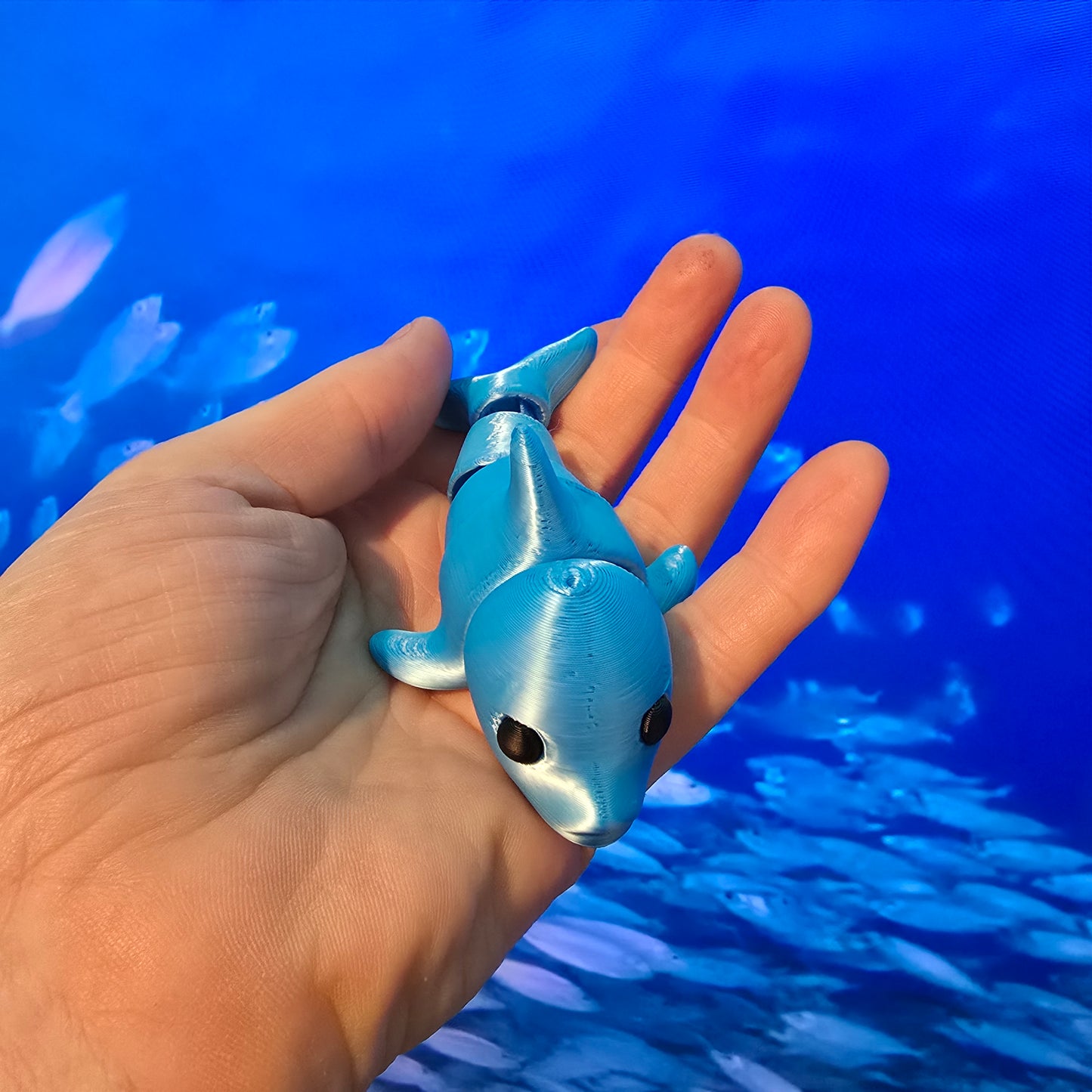 Friendly Little Dolphin hand size fidget toy