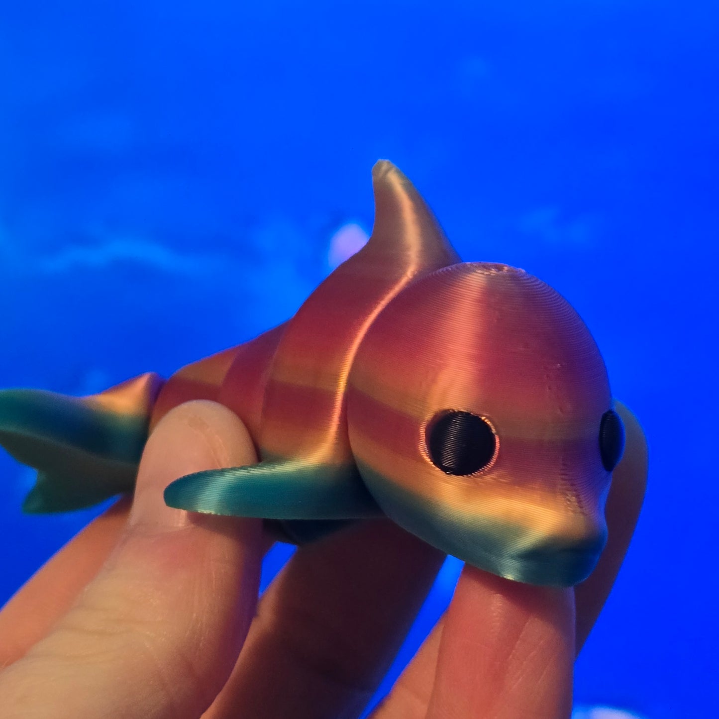 Friendly Little Dolphin hand size fidget toy