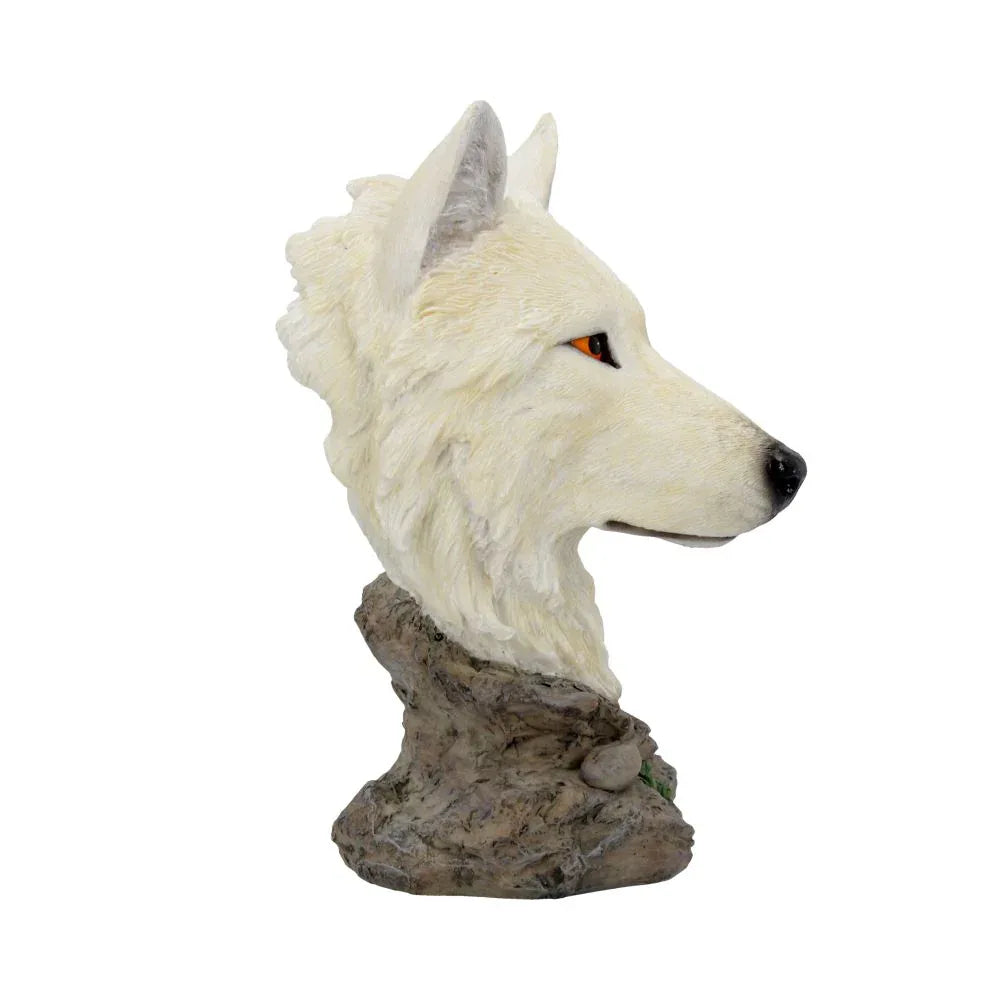 Snow Searcher Wild Wolf Bust | Gothic Fantasy Figurine by Nemesis Now - 16cm tall