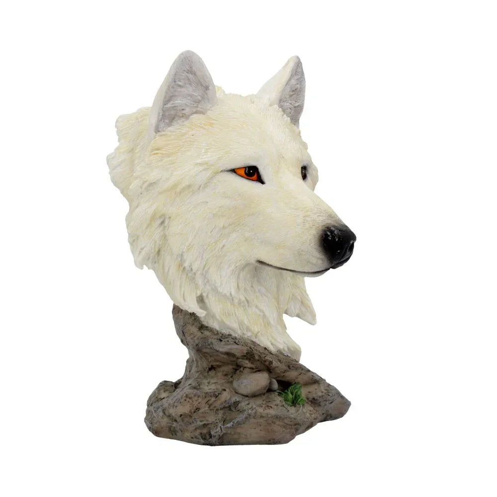 Snow Searcher Wild Wolf Bust | Gothic Fantasy Figurine by Nemesis Now - 16cm tall