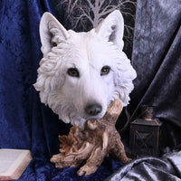 Wild Winter 27.5cm