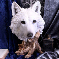 Wild Winter 27.5cm