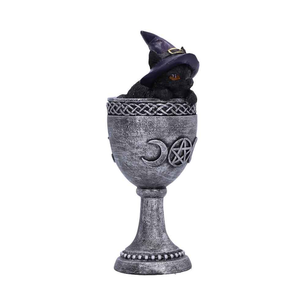 Coven Cup Black Cat Ornament 15.7cm