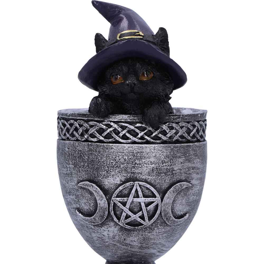 Coven Cup Black Cat Ornament 15.7cm