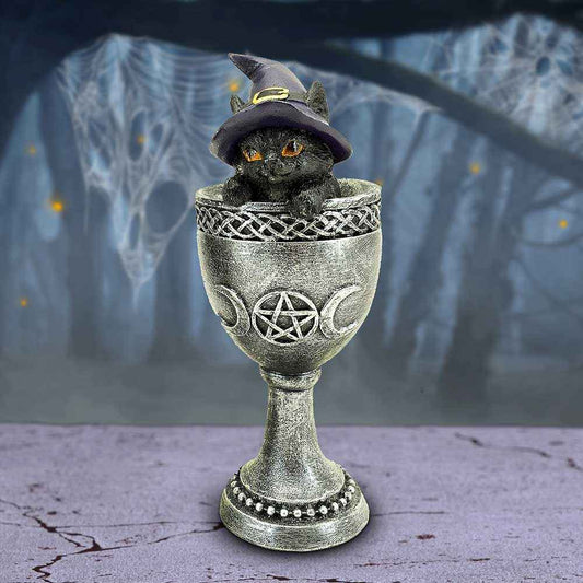 Coven Cup Black Cat Ornament 15.7cm